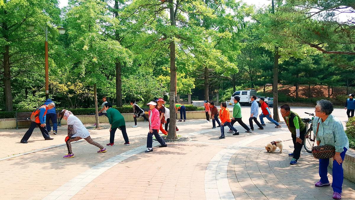 어르신 공원 체조 및 걷기 사진